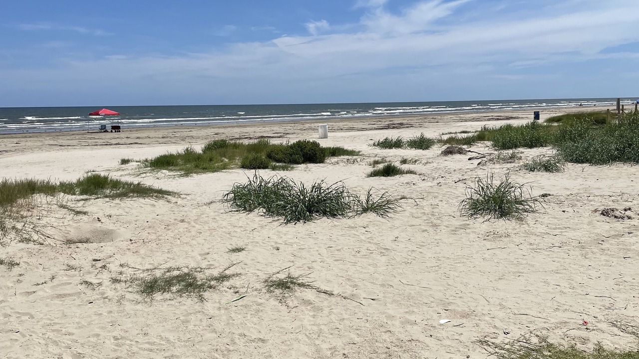 Photo of Others in Galveston