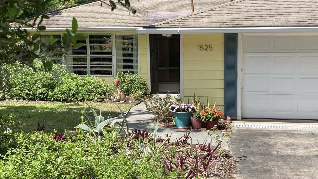 Photo of Outdoor in Mount Dora
