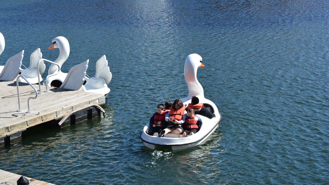 Photo of Outdoor in West Kissimmee