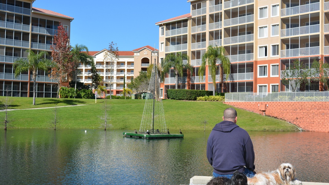 Photo of Outdoor in West Kissimmee