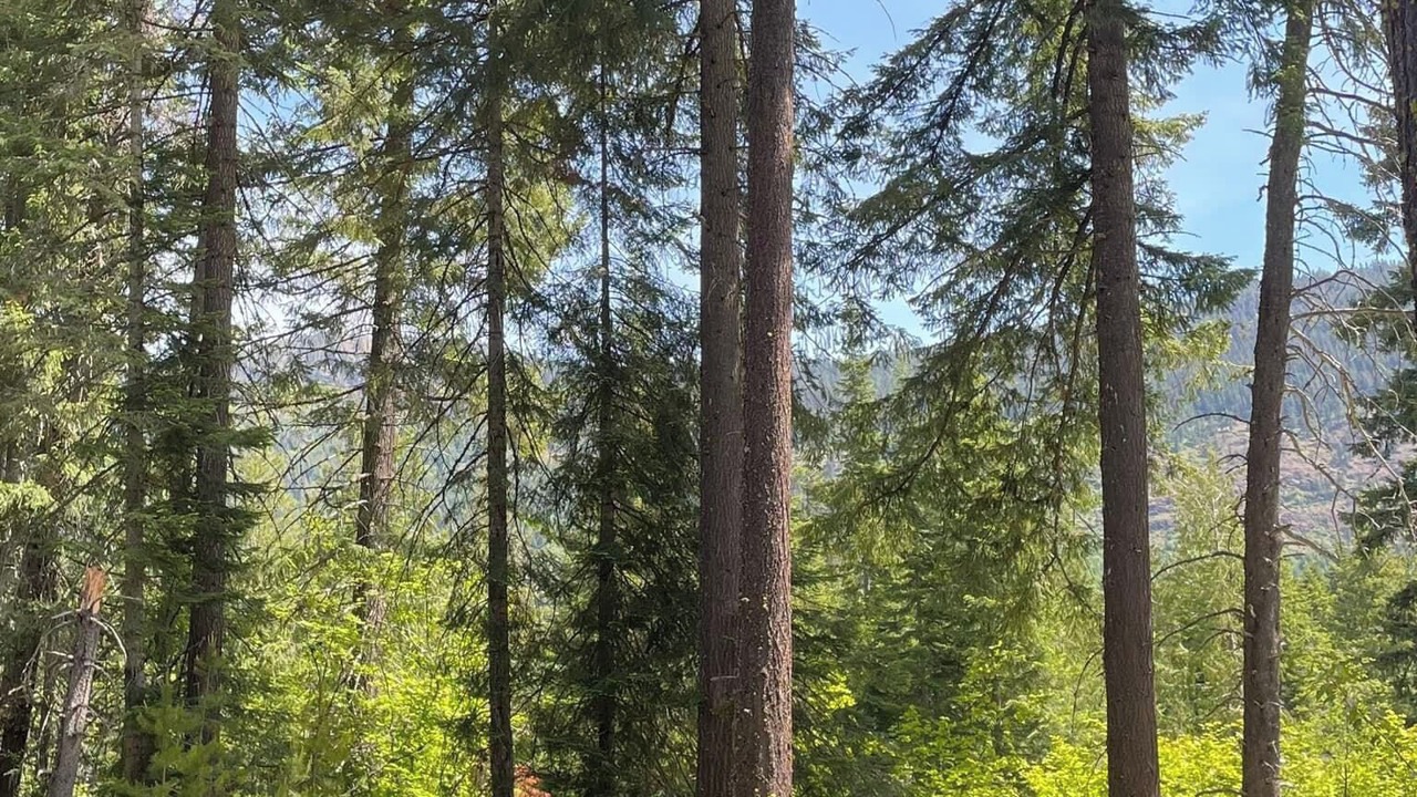 Photo of Outdoor in Easton