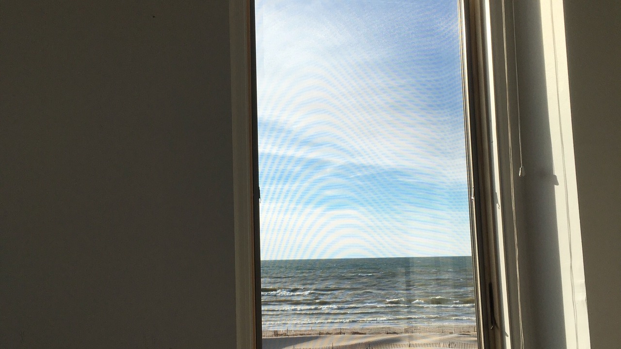 Photo of Outdoor in South Haven