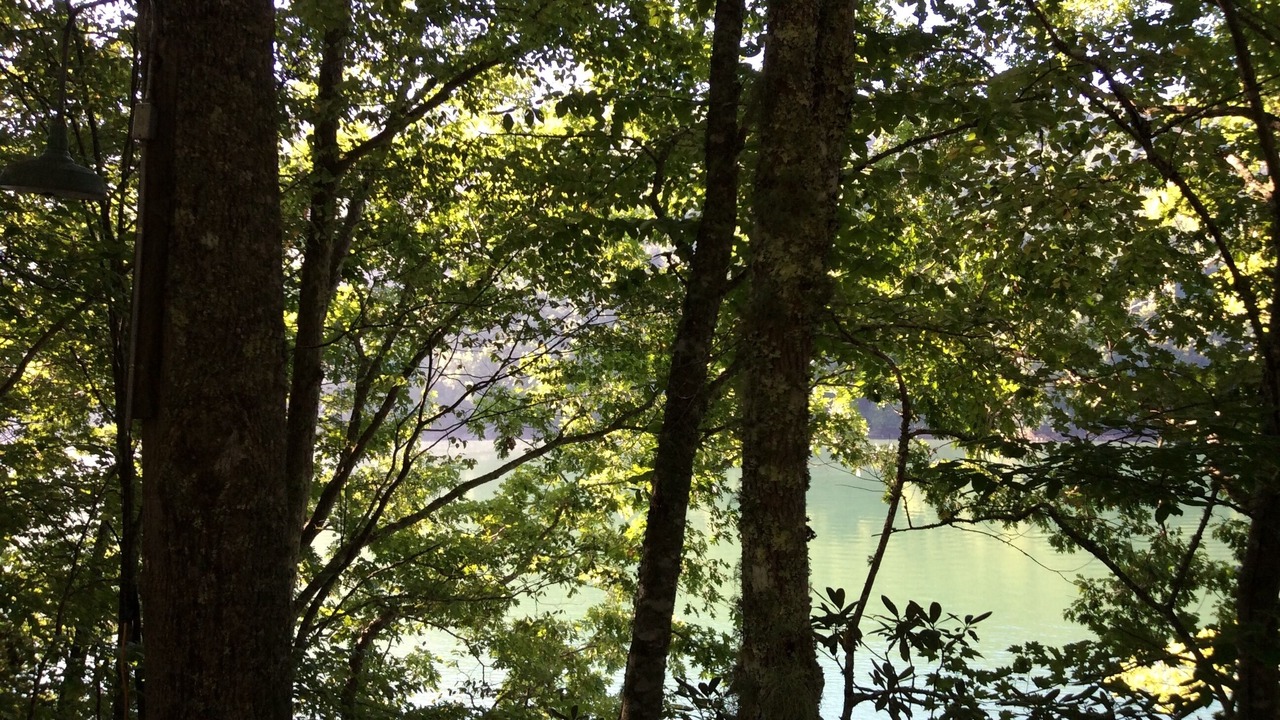 Photo of Outdoor in Topton