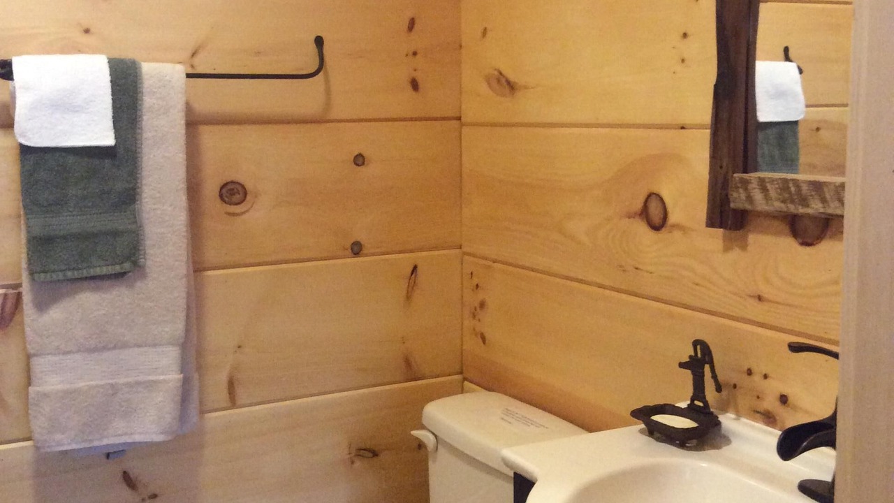 Photo of Bathroom in Topton