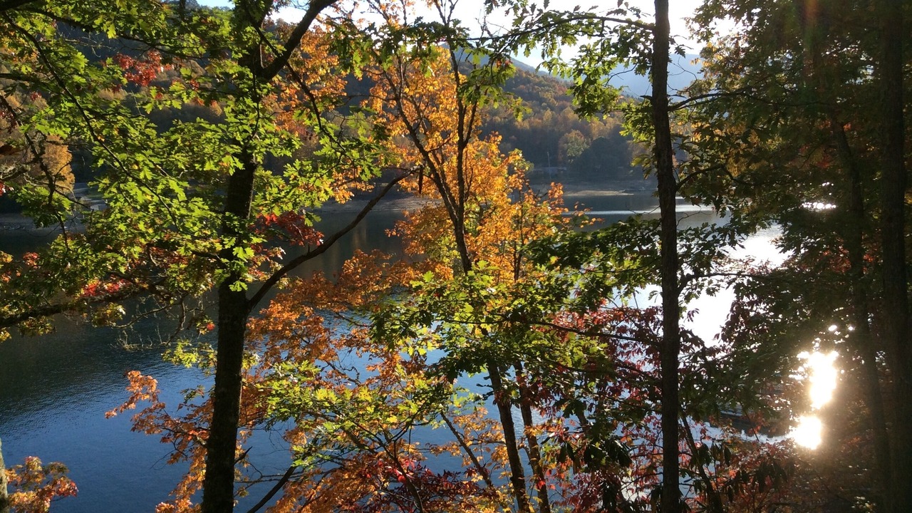 Photo of Outdoor in Topton