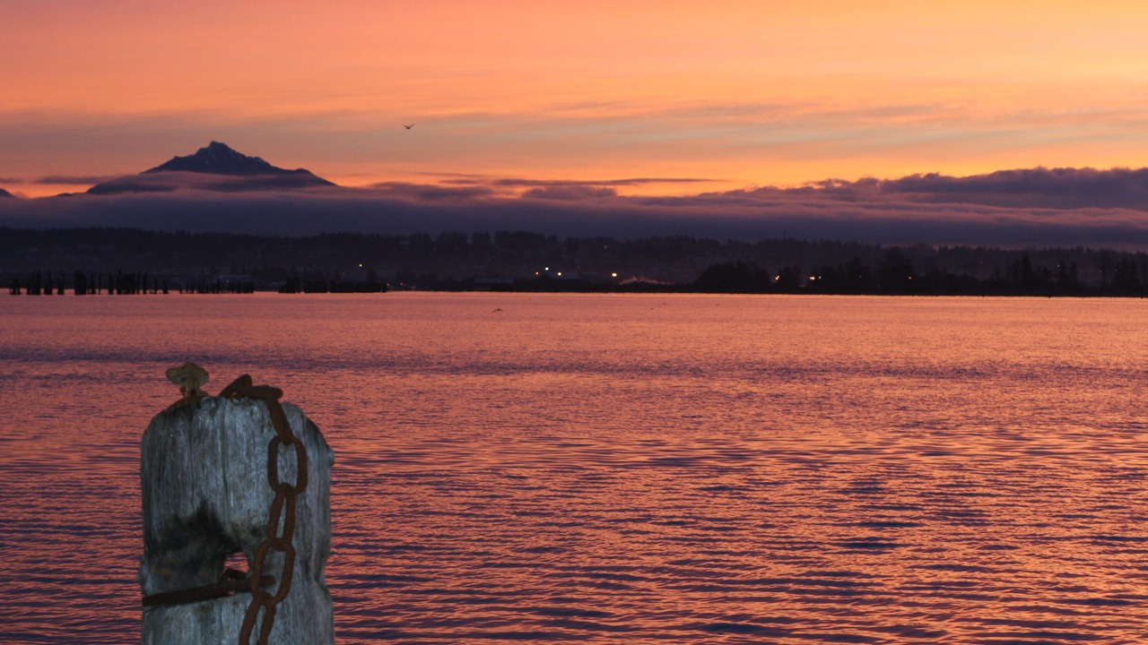 Photo of Others in Priest Point