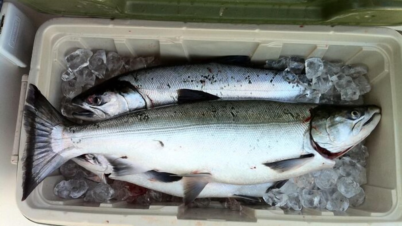 Photo of Others in Priest Point