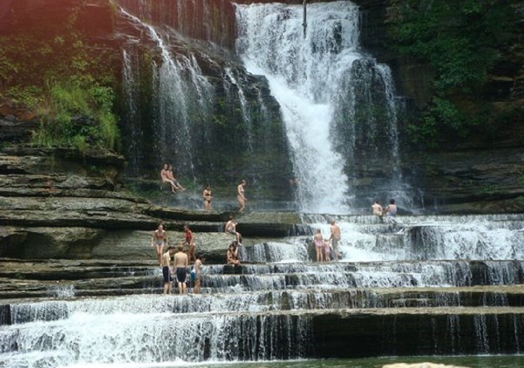 Photo of Others in Chestnut Mound