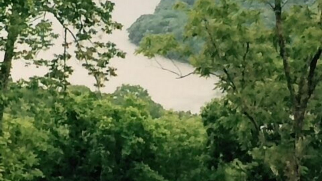 Photo of Outdoor in Chestnut Mound