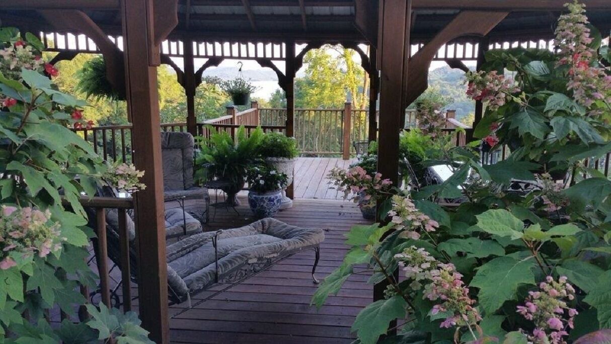 Photo of Outdoor in Chestnut Mound