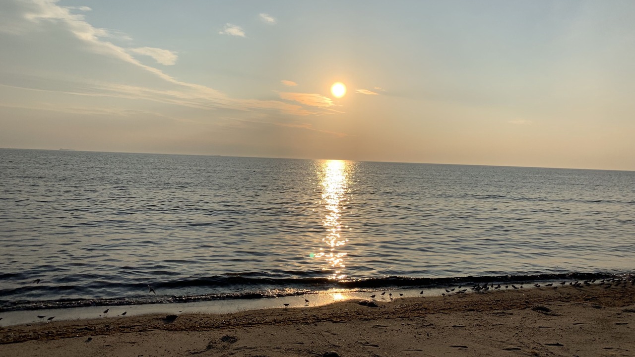 Photo of Others in Prime Hook Beach