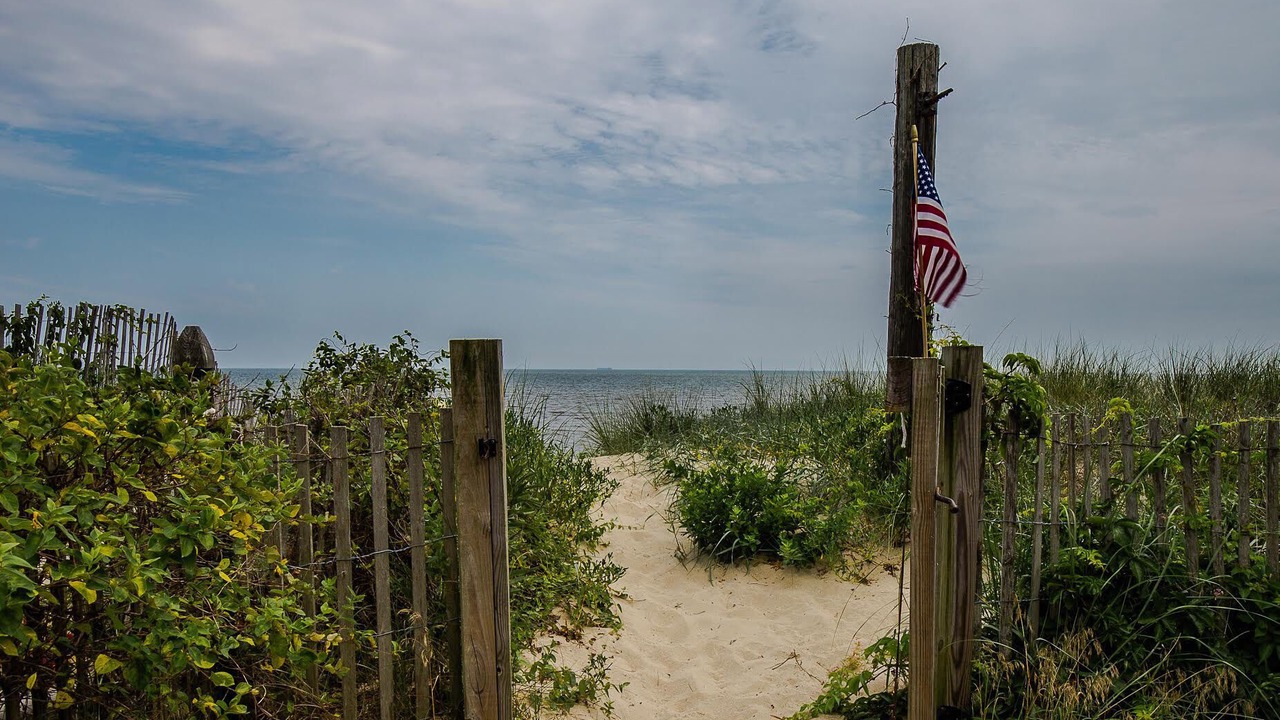 Photo of Others in Prime Hook Beach