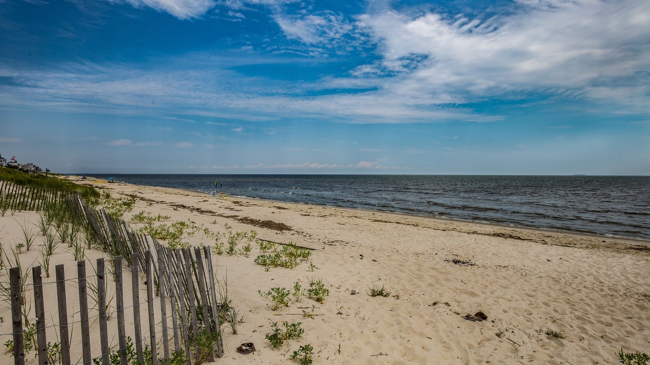 Photo of Others in Prime Hook Beach
