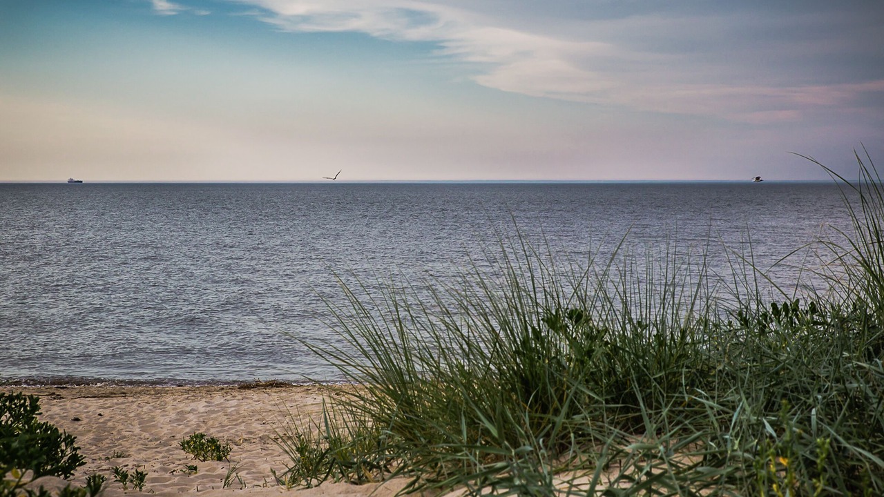Photo of Others in Prime Hook Beach