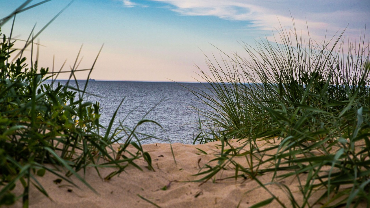 Photo of Others in Prime Hook Beach