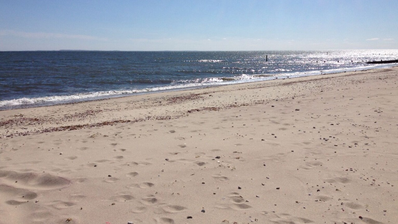 Photo of Others in Old Lyme