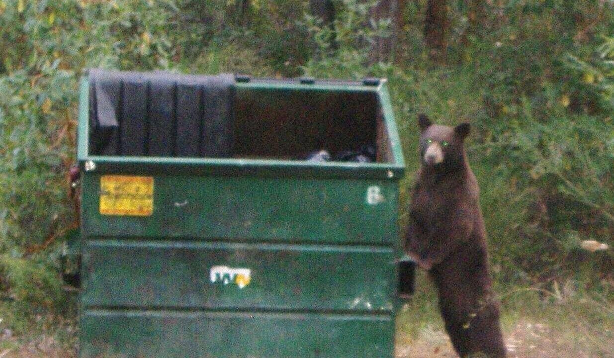 Photo of Others in Nevada City