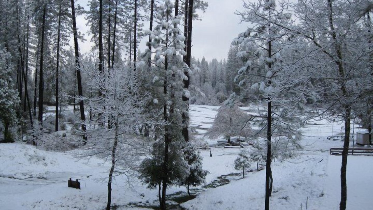 Photo of Others in Nevada City
