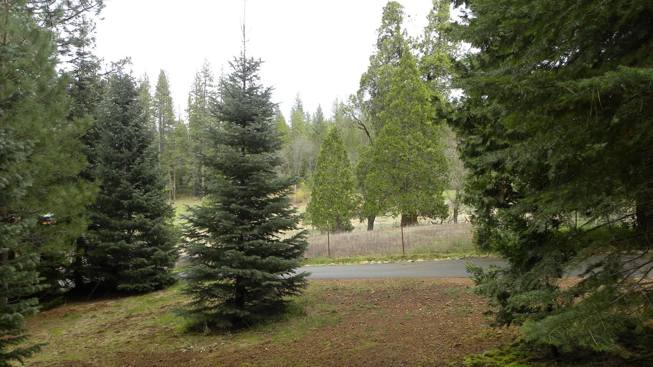 Photo of Outdoor in Cedar Ridge