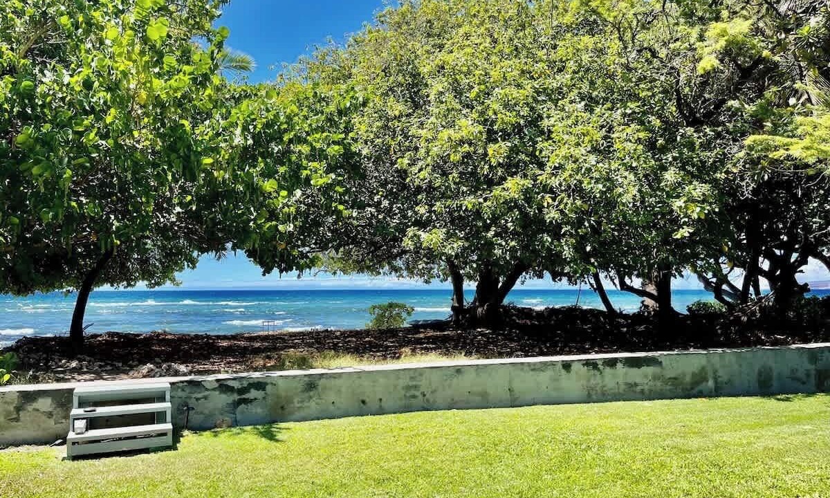 Photo of Outdoor in Puako