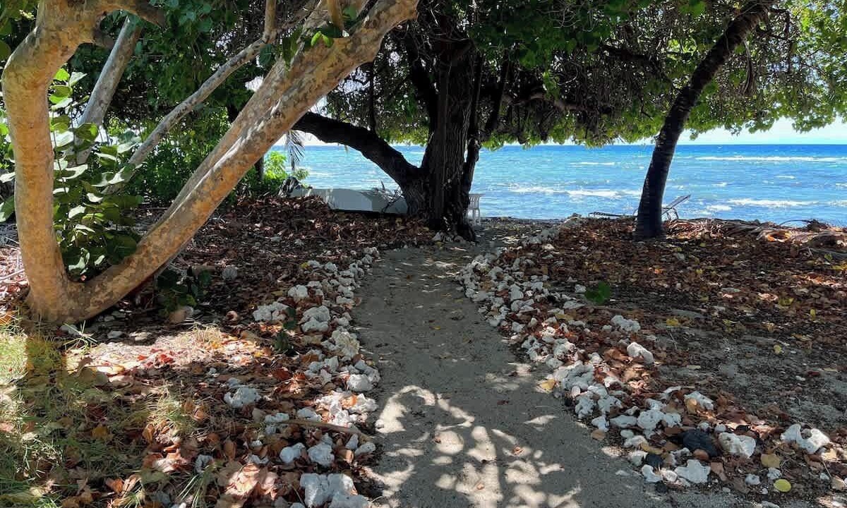 Photo of Outdoor in Puako