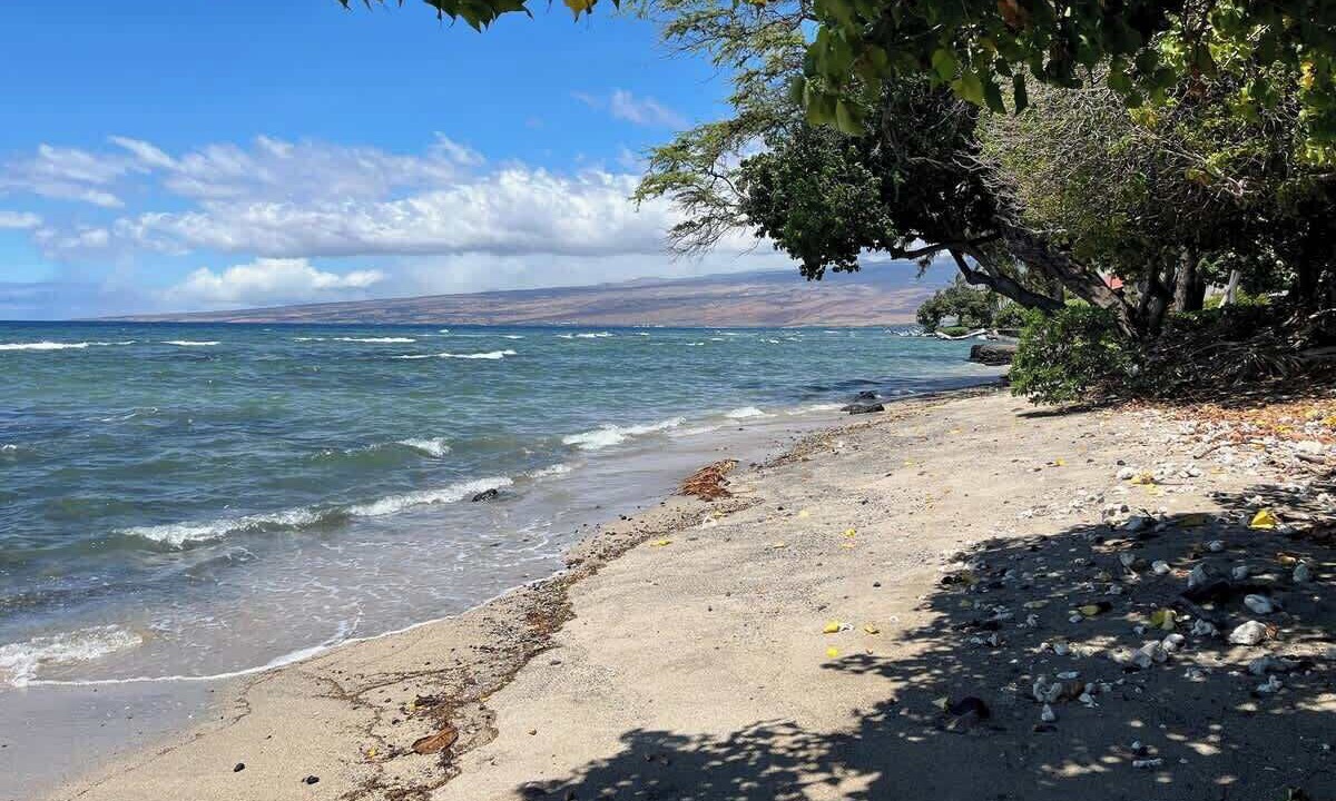 Photo of Others in Puako