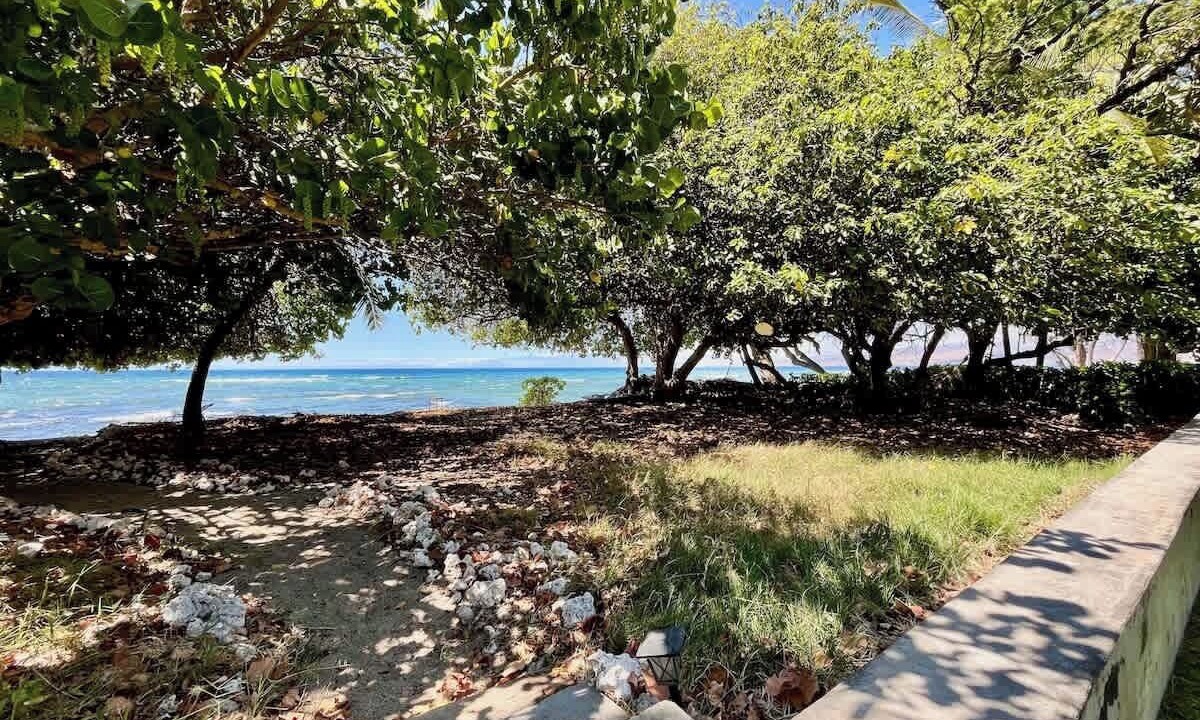 Photo of Outdoor in Puako