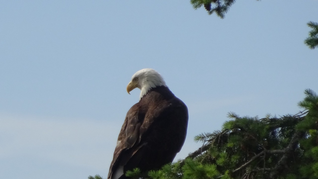 Photo of Others in Mercer Island