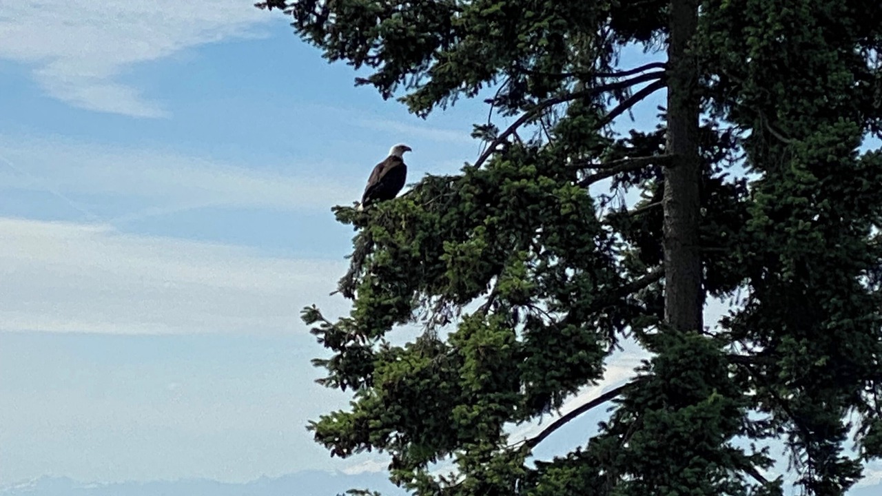 Photo of Others in Mercer Island