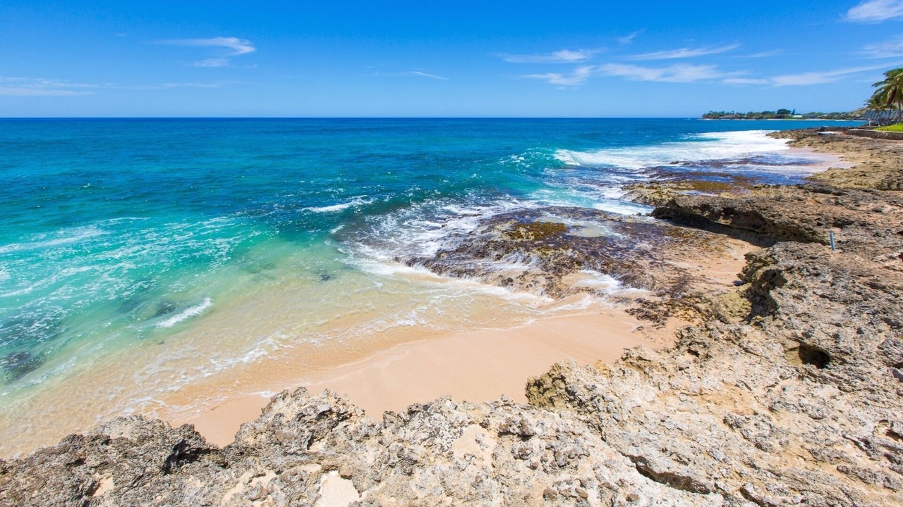 Photo of Others in Makaha