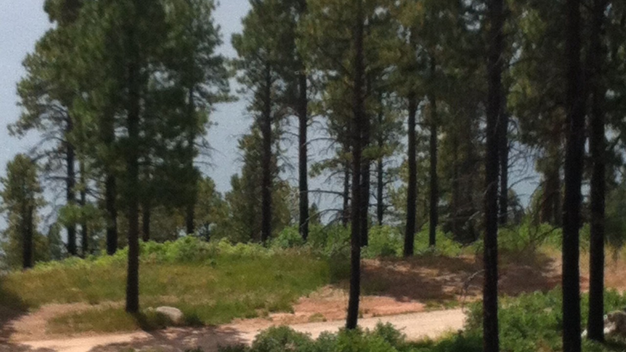Photo of Outdoor in Bayfield