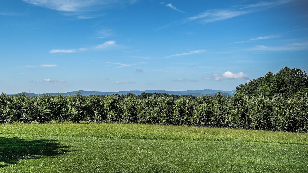 Photo of Outdoor in Hendersonville