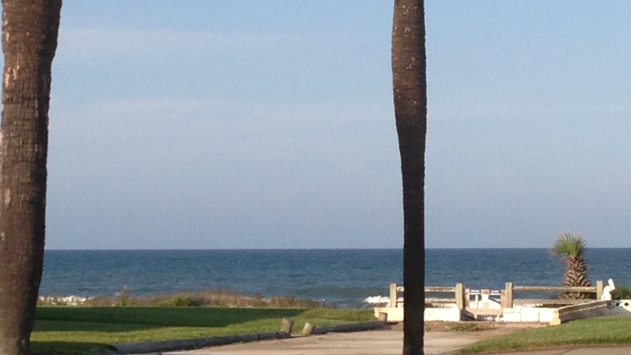 Photo of Others in O'byrne