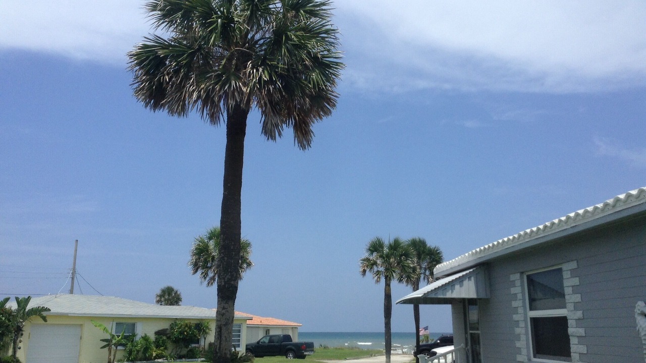 Photo of Others in O'byrne