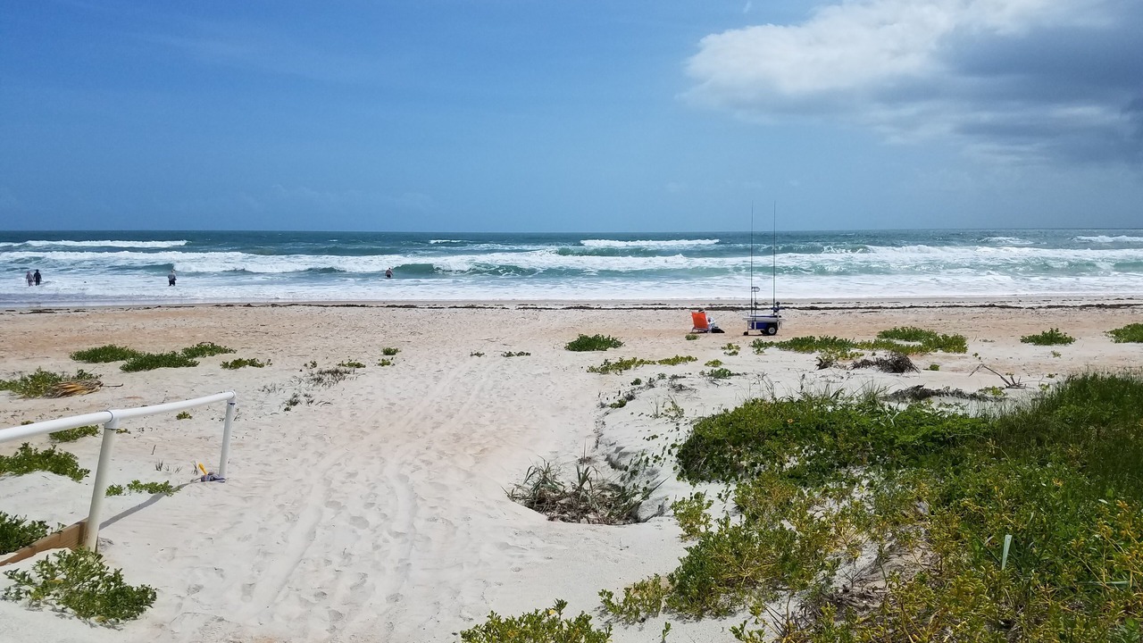 Photo of Others in O'byrne