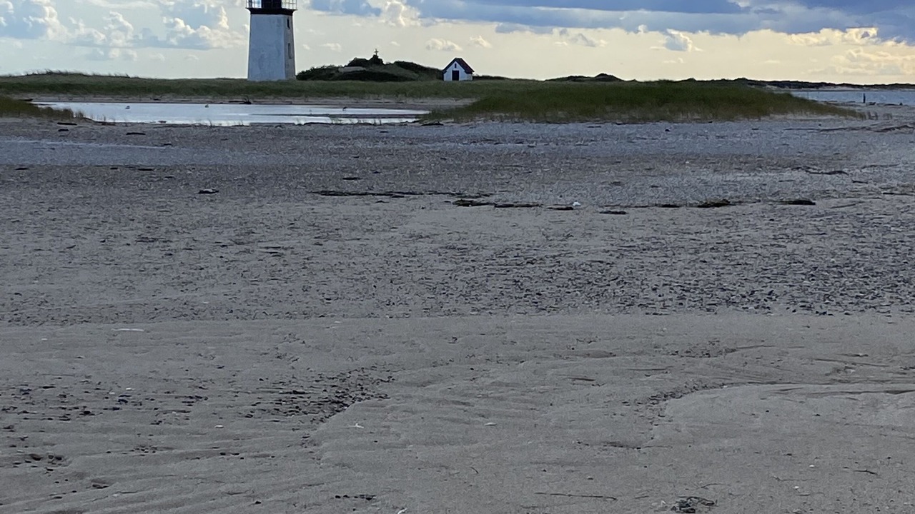 Photo of Others in Provincetown