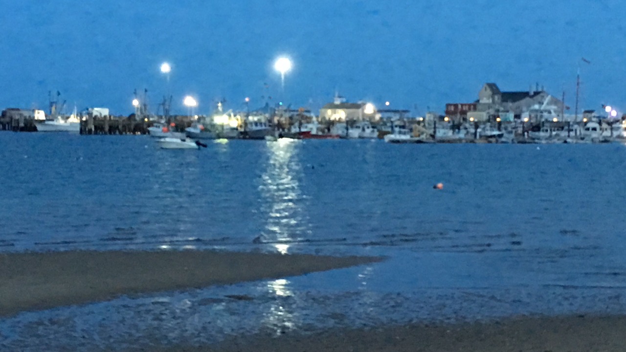 Photo of Others in Provincetown