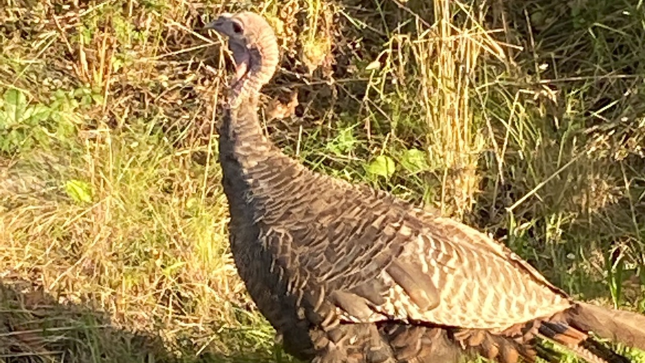 Photo of Outdoor in Provincetown