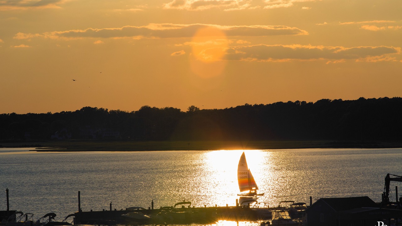 Photo of Others in Dewey Beach