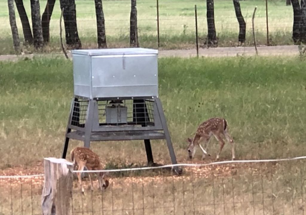 Photo of Others in Fredericksburg