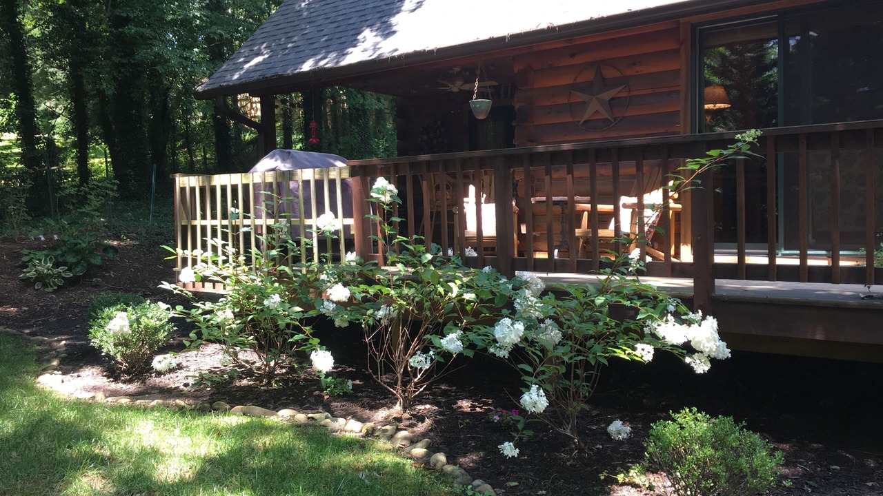 Photo of Others in Black Mountain