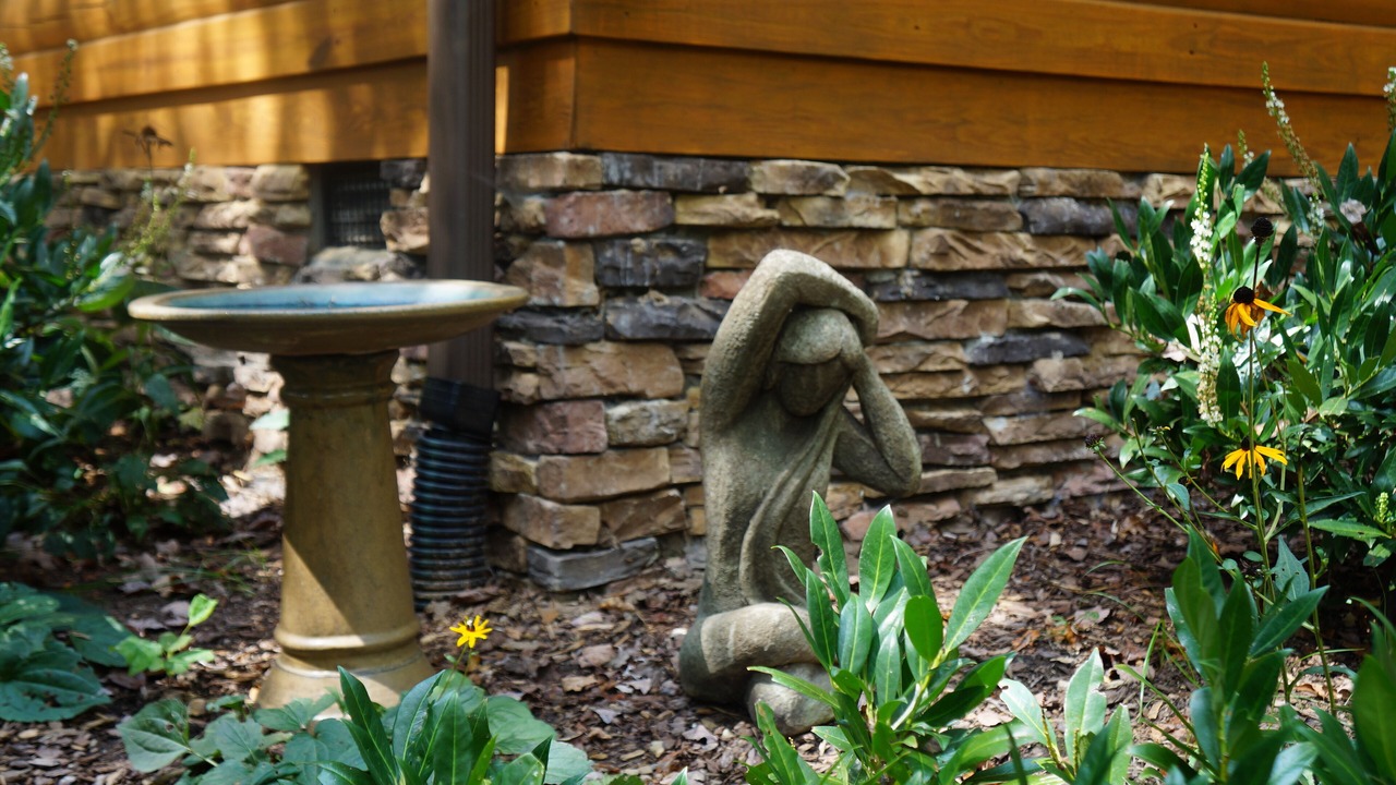 Photo of Outdoor in Black Mountain