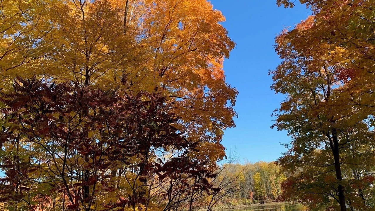 Photo of Outdoor in Frontenac