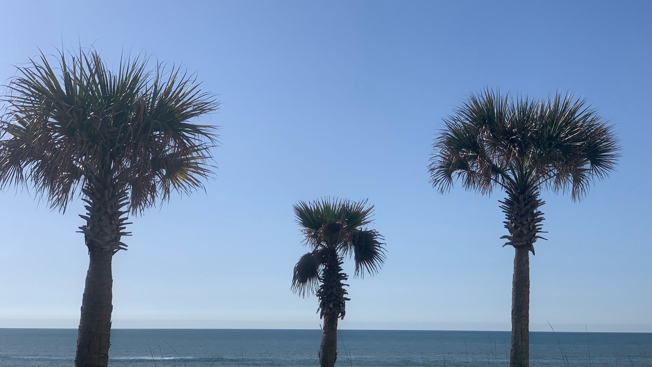 Photo of Others in Orange Beach