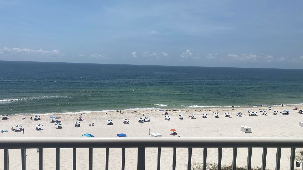 Photo of Others in Orange Beach