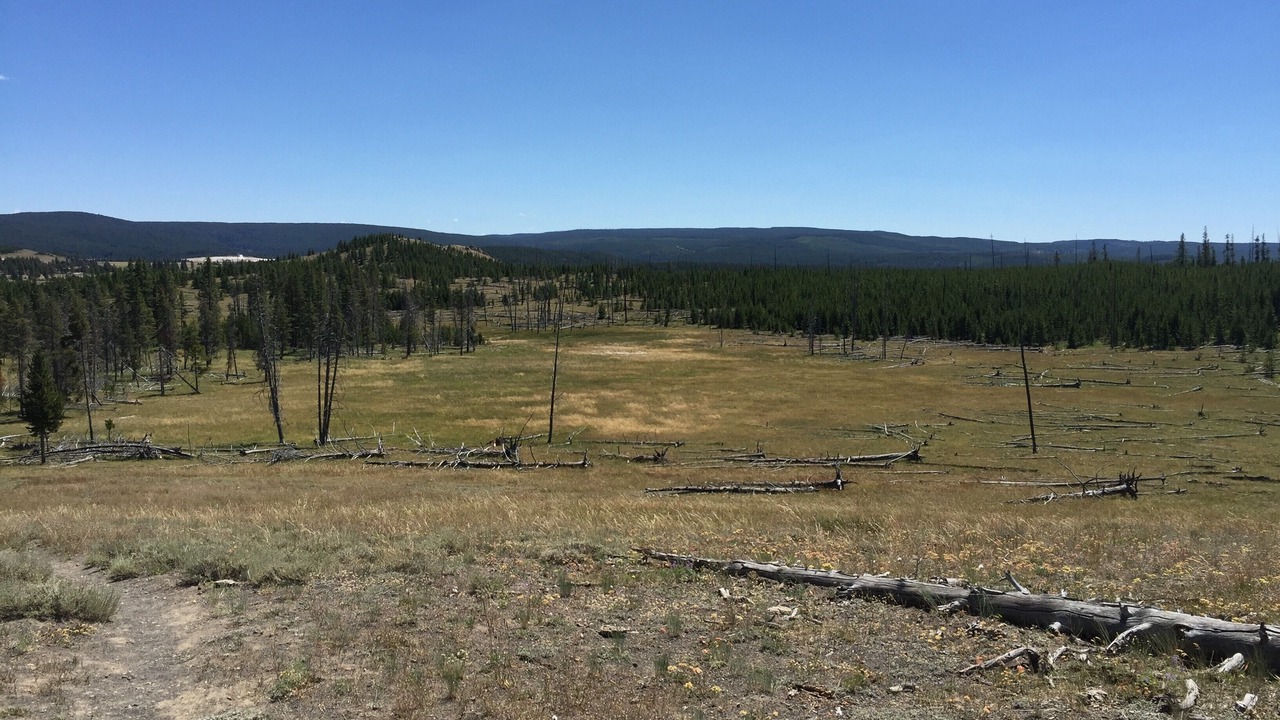 Photo of Outdoor in West Yellowstone