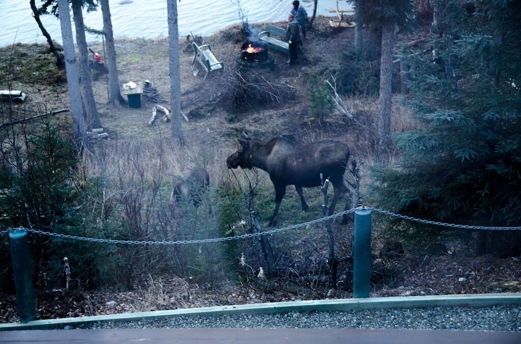 Photo of Outdoor in Sterling