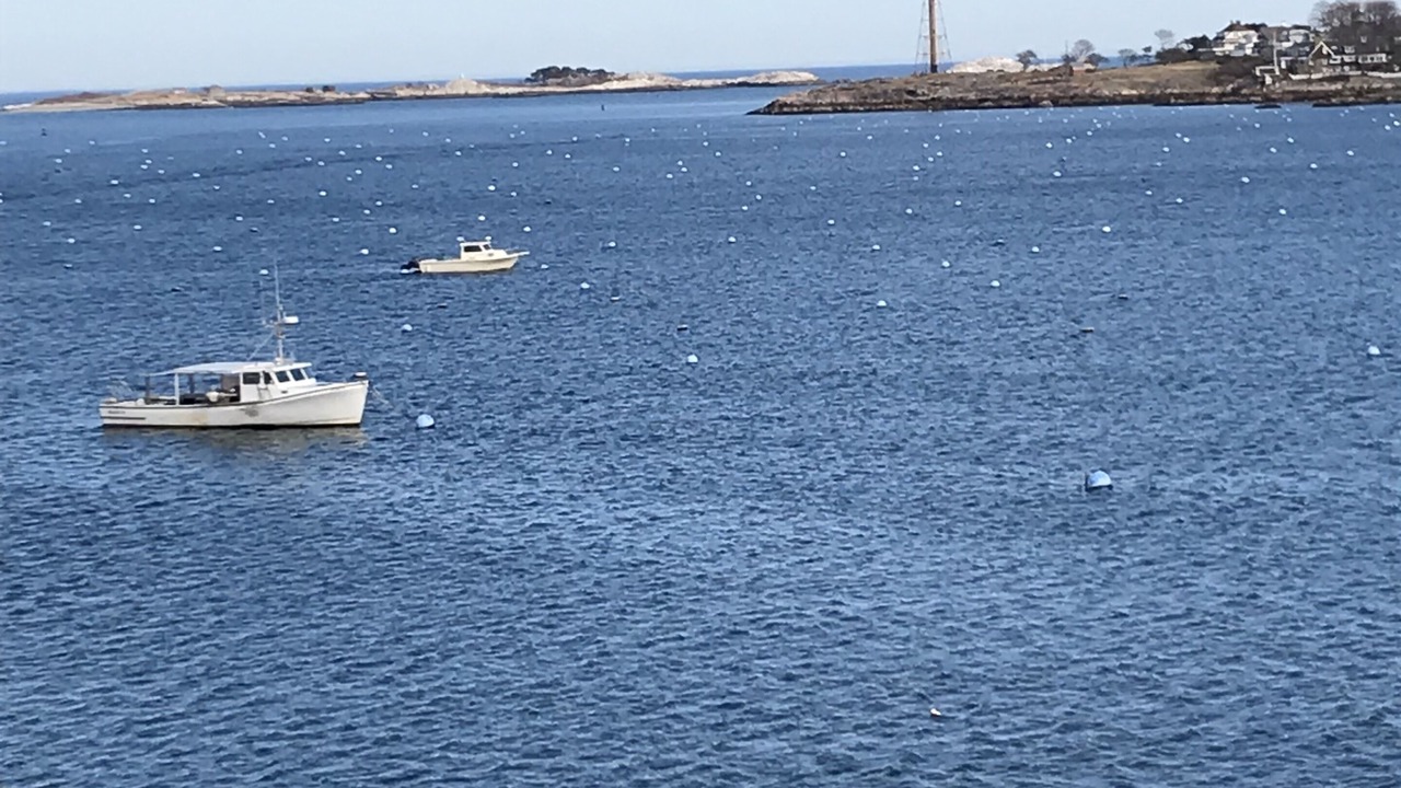 Photo of Others in Marblehead