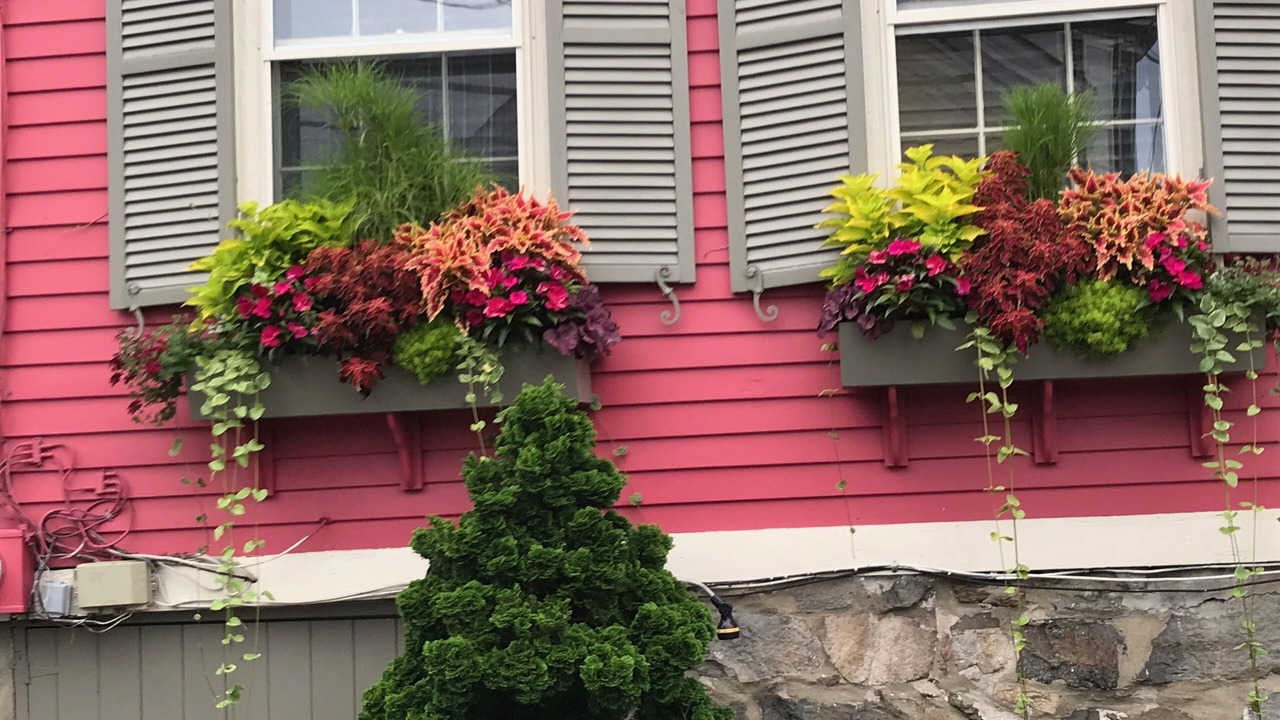 Photo of Others in Marblehead