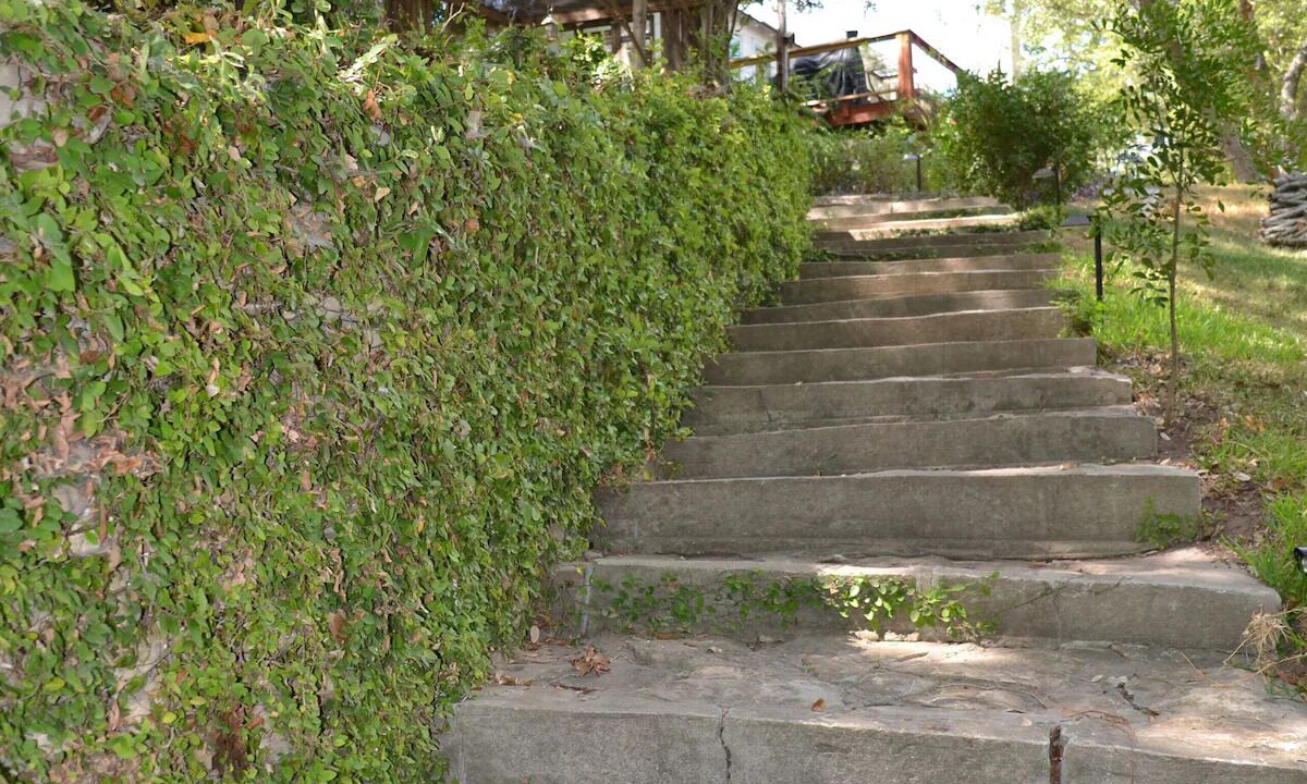 Photo of Others in New Braunfels